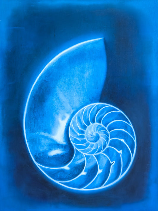 Nautilus