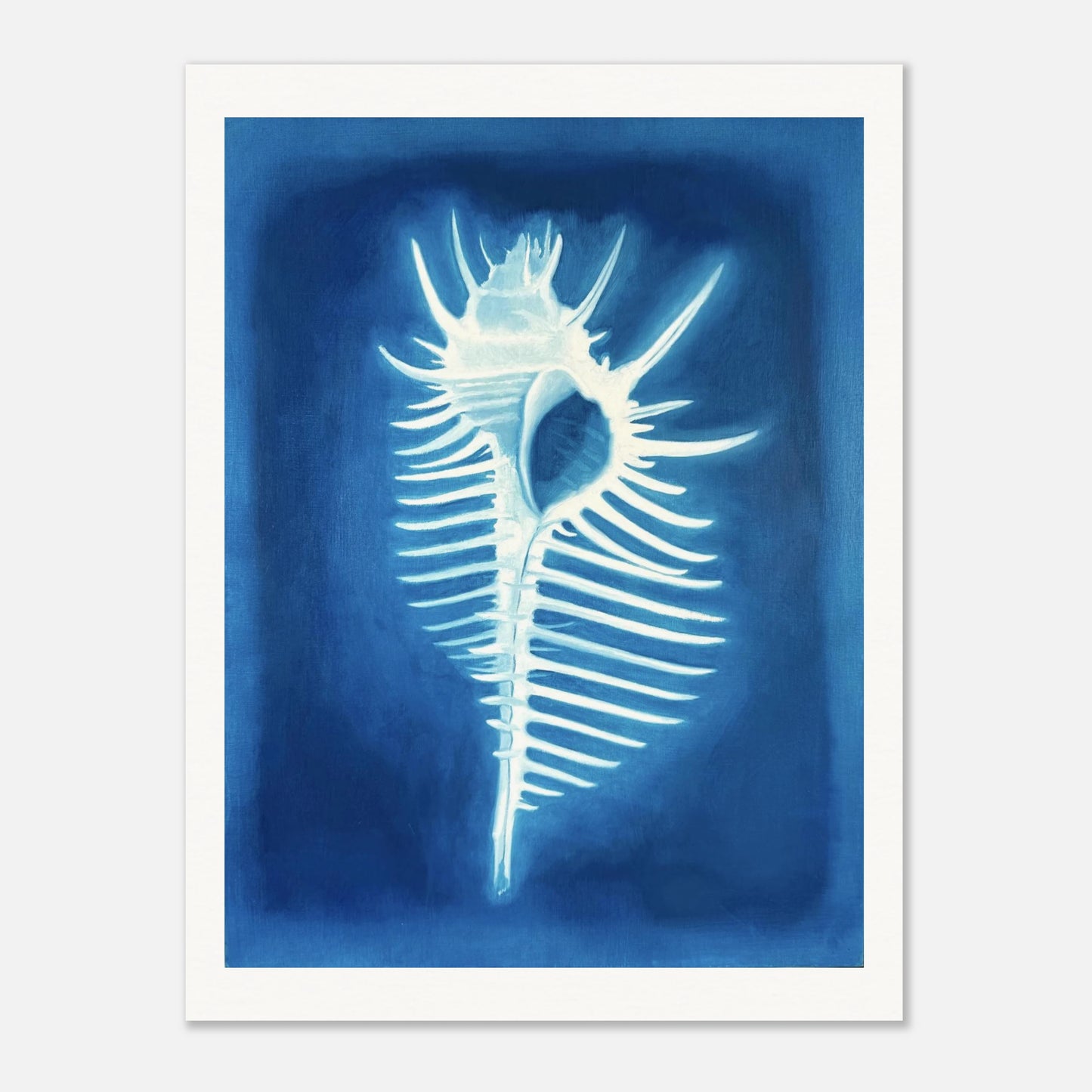 Venus Comb
