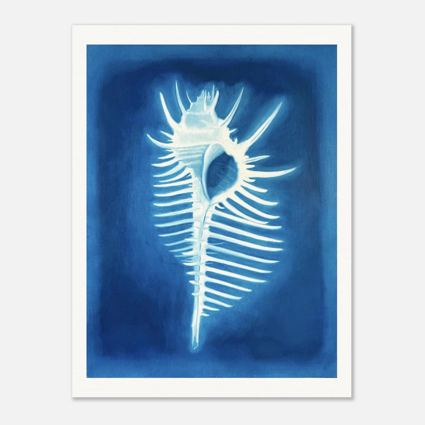 Venus Comb