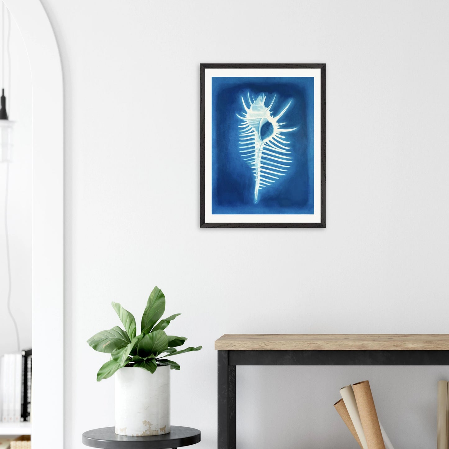 Venus Comb – Gerahmter Kunstdruck
