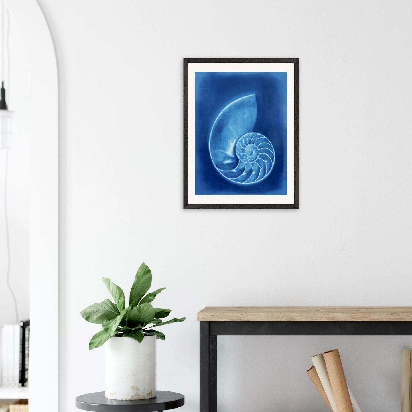 Nautilus - Gerahmter Kunstdruck