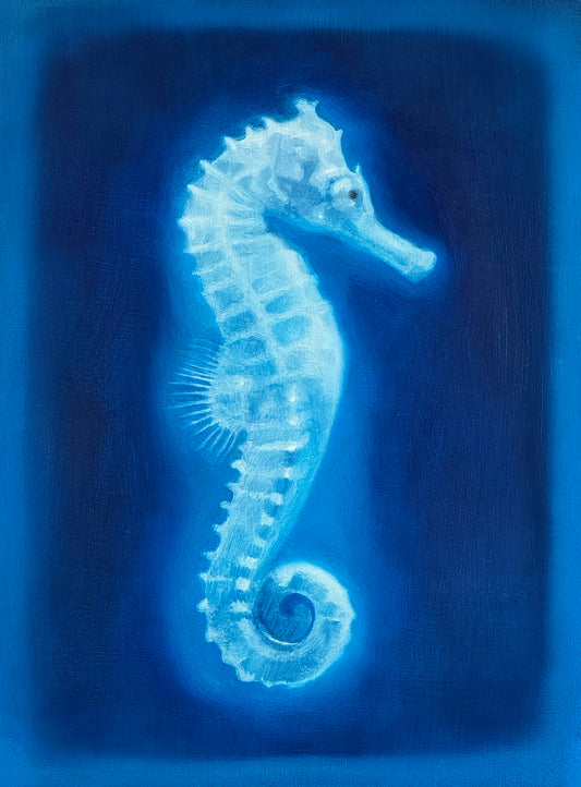 Seahorse
