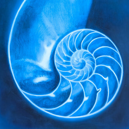 Detail of Nautilus painting showing the shell's spiral chambers and luminous surface