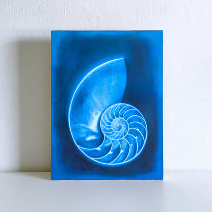Nautilus original oil painting by Lance Hewison – spiral shell in deep blue, oil on panel
