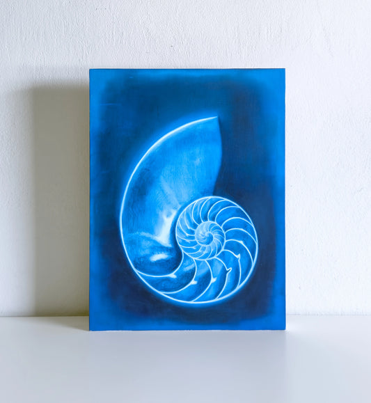 Nautilus